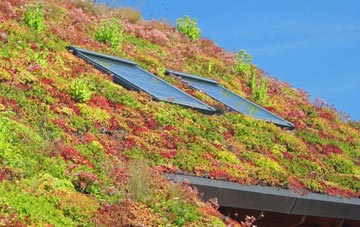 Eudon Burnell living roof systems